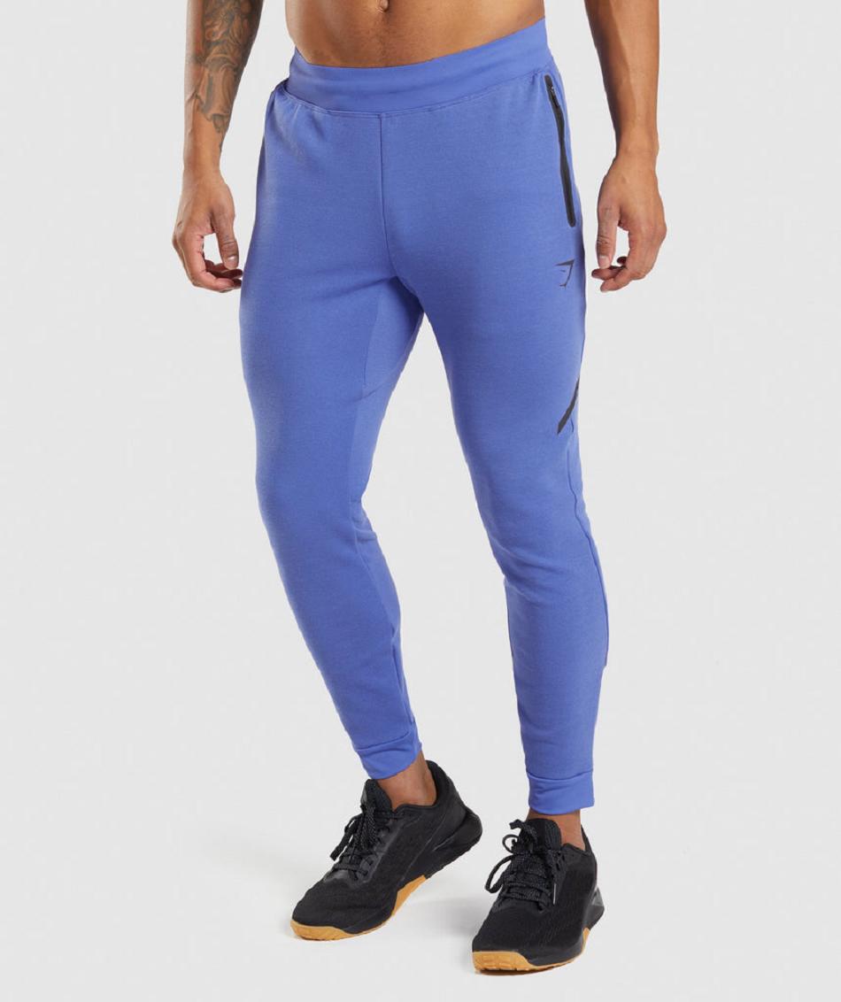 Gymshark Apex Technical Muške Jogger Hlače Plave | HR 2943EBC